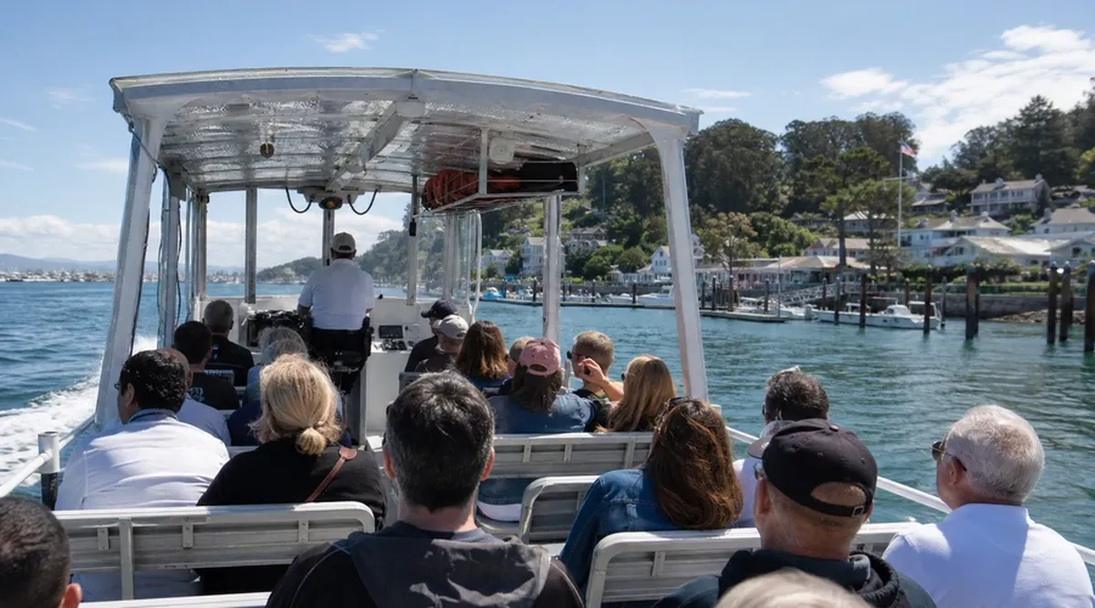 Boat Excursions — coastal educational illustration